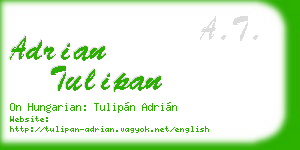 adrian tulipan business card